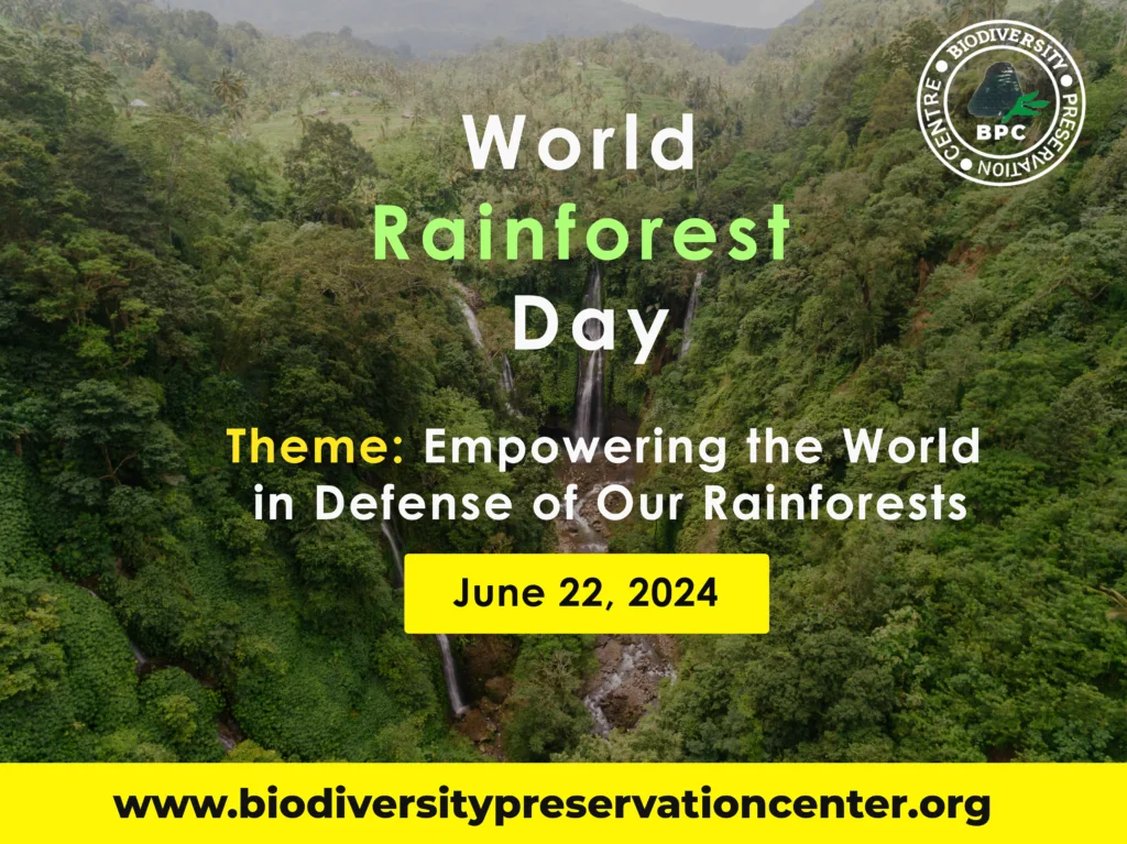 World Rainforest Day 2024: Empowering the World in Defense of Our Rainforests